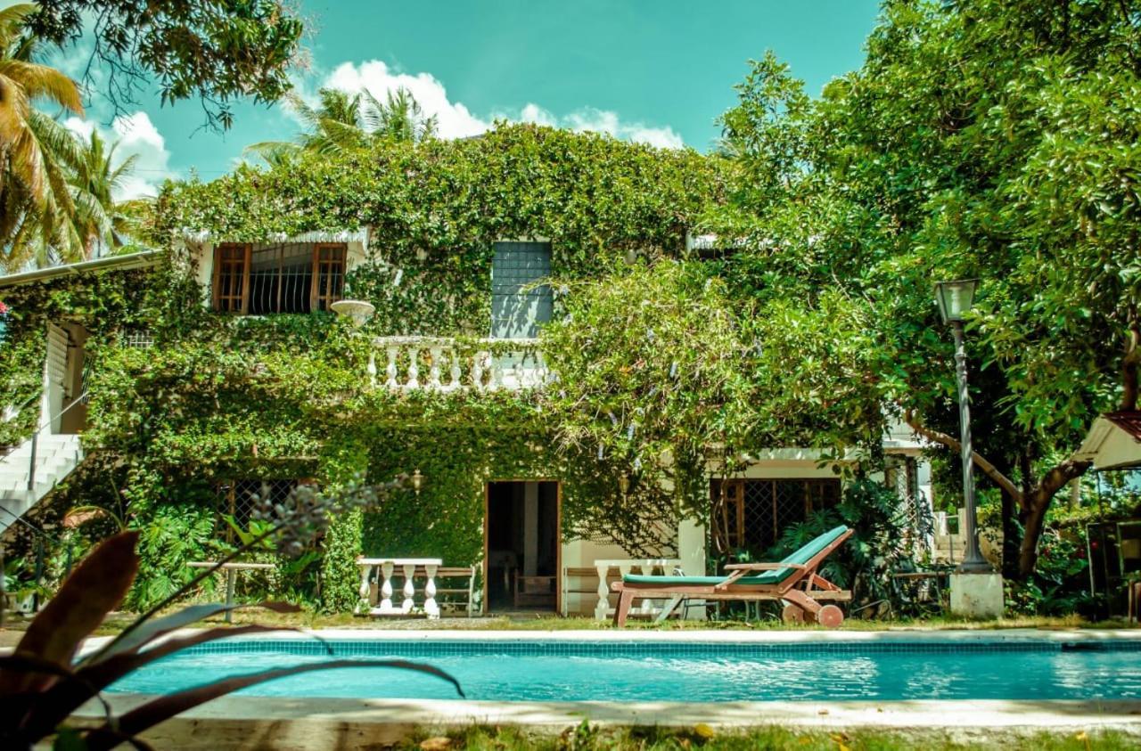 بويرتو بلاتا Villa Carolina Bed And Breakfast المظهر الخارجي الصورة