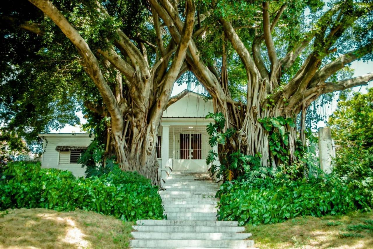 بويرتو بلاتا Villa Carolina Bed And Breakfast المظهر الخارجي الصورة