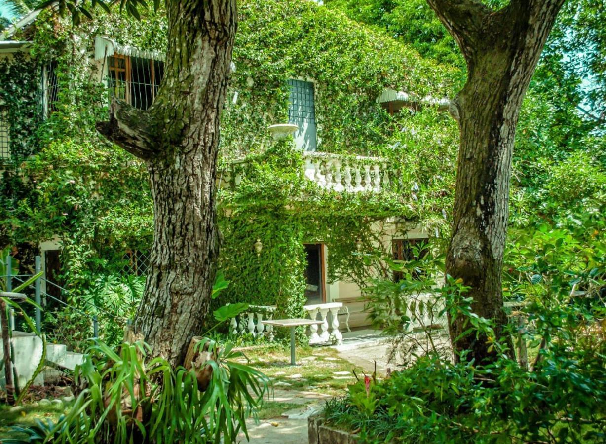 بويرتو بلاتا Villa Carolina Bed And Breakfast المظهر الخارجي الصورة