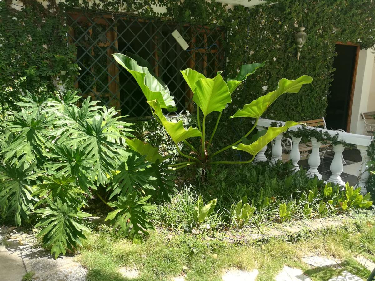 بويرتو بلاتا Villa Carolina Bed And Breakfast المظهر الخارجي الصورة